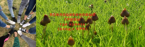 spice Балахна