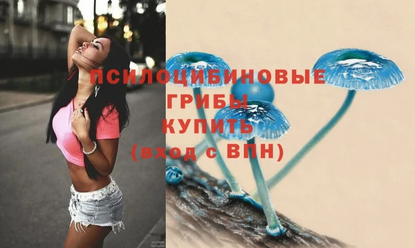 гидропоника Балабаново
