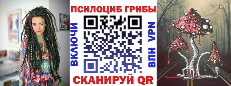Галлюциногенные грибы Psilocybe  Кунгур 